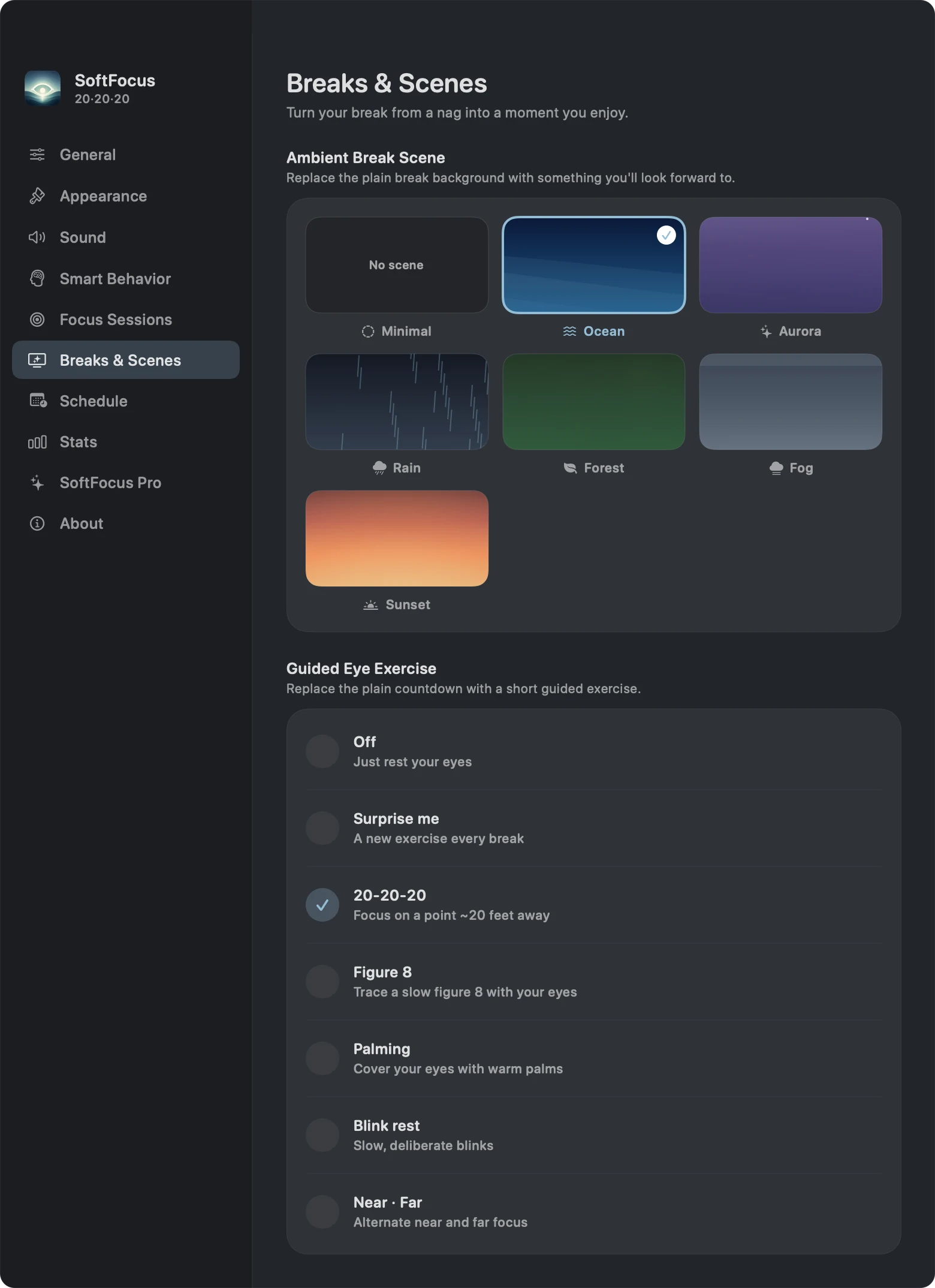 Blink Breaks and Scenes settings showing Minimal, Ocean, Aurora, Rain, Forest, Fog, and Sunset background choices.